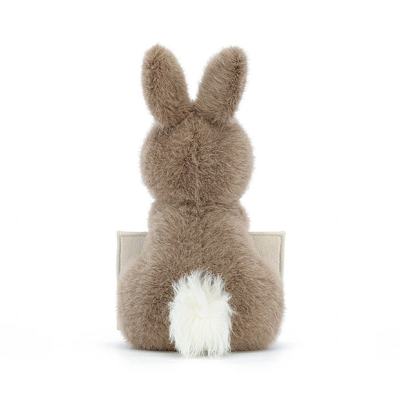 Jellycat Messenger Bunny 19Cm