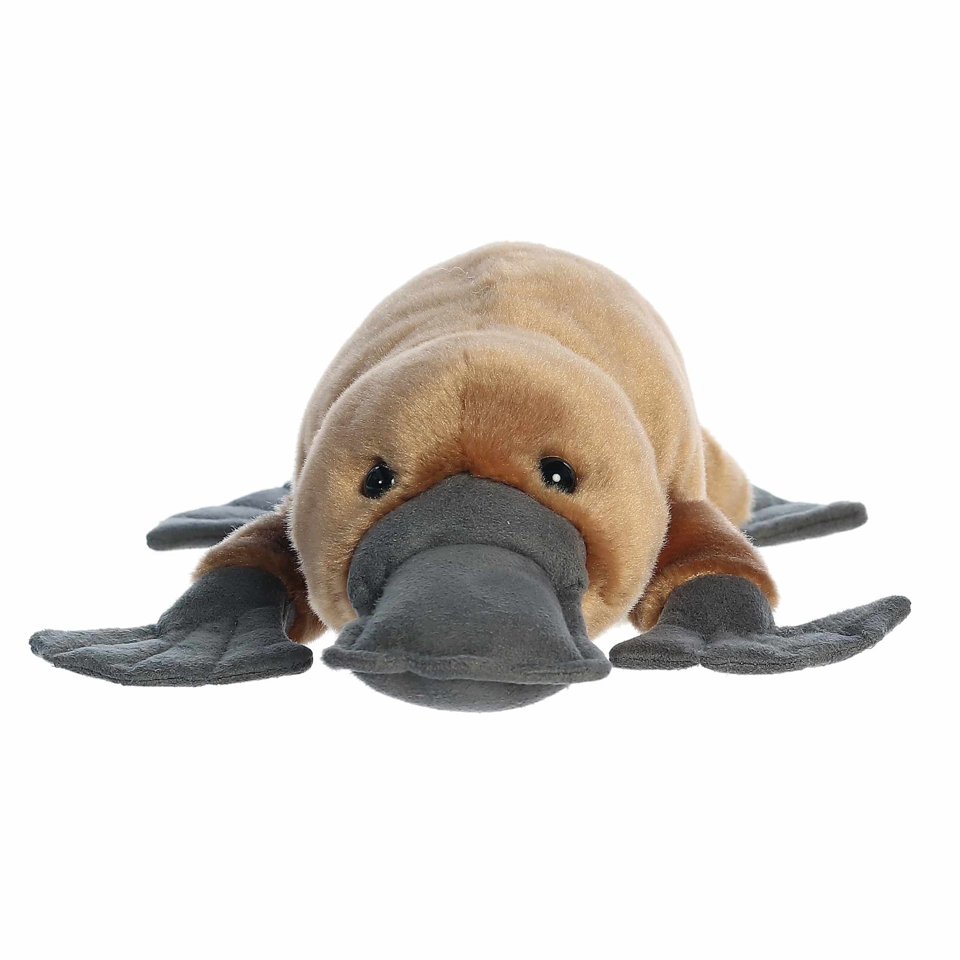- Flopsie™ - 12" Bindi Platypus™